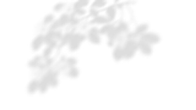 Dust Particles Texture Overlay, subtle grain speckle PNG effect isolated on transparent background for vintage photo editing and film grain texture