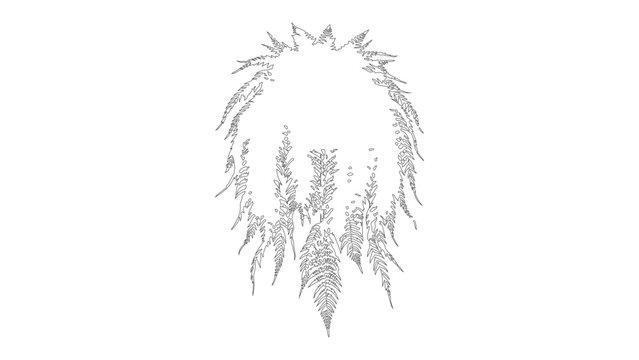 farn vector design template fully editable