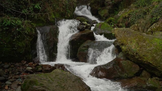 Beautiful mountain creek cascading through mossy boulders.