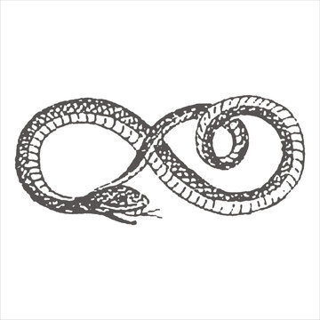 Ouroboros snake symbol forming an infinity