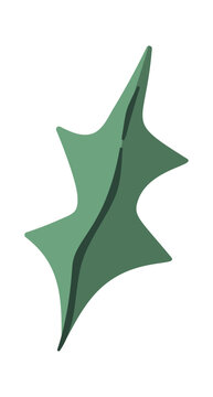 Holly Leaf Single Sprig Cartoon