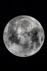 Naklejka premium Full moon