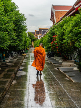 in the rain - im Regen