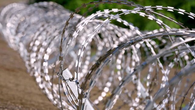 Long row of concertina razor wire coils on a concrete barrier