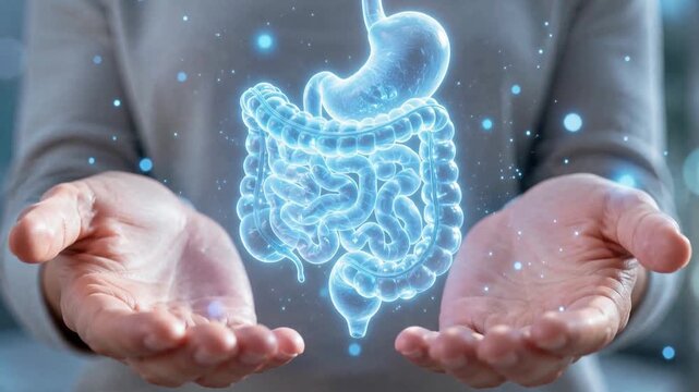 Hands Holding Glowing Hologram of Human Stomach and Intestines for Digestive System and Gut Health Concept
