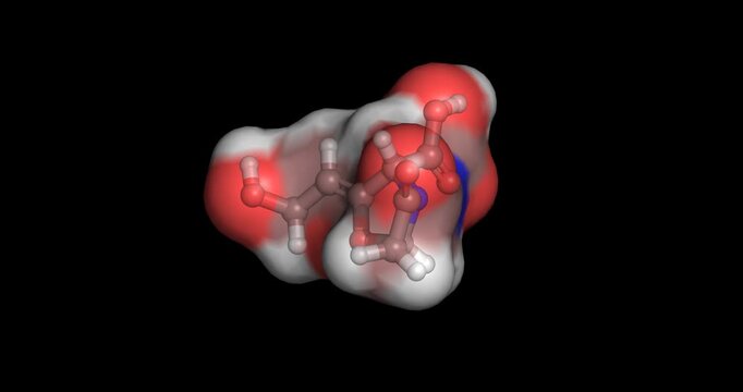 Clavulanic acid, natural beta-lactamase inhibitor produced by Streptomyces clavuligerus, combined with penicillins to disarm resistant bacterial defenses, 3D molecule spinning, 4K