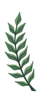 Sprig Of Christmas Foliage Botanical Cartoon