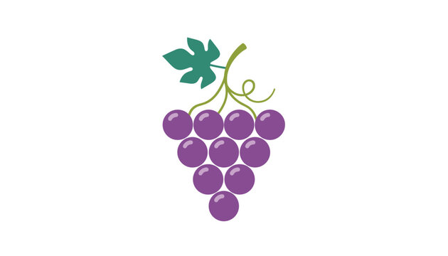 Simple vector illustration of a bunch of purple grapes with a green leaf and curly stem on a white background.