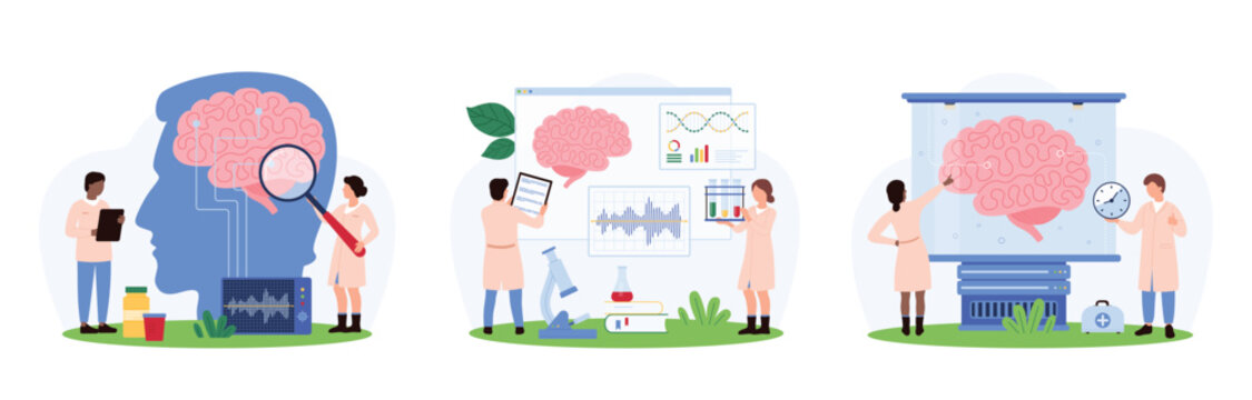 Human brain research by neurologists, neurology and psychology set. Tiny people with magnifying glass and scientific laboratory equipment study brain development, memory cartoon vector illustration