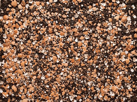 Close-up overhead view of dark soil mixed with numerous crushed eggshell fragments, used as a natural garden fertilizer or soil amendment.