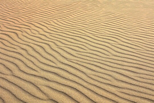 Vue rapproch&eacute;e d'une &eacute;tendue de sable form&eacute;e d'ondulations cr&eacute;&eacute;es par le vent. Surface naturelle textur&eacute;e compos&eacute;e de lignes parall&egrave;les beiges et grises.