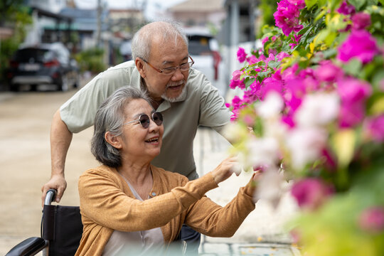 Elderly couple garden flower retirement wheelchair smiling Asian