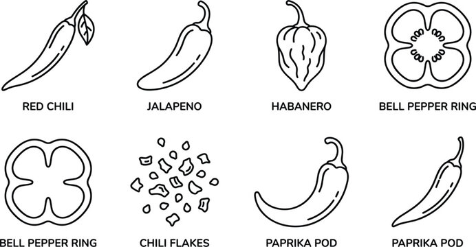 Spicy pepper and chili varieties line icon set including jalapeno habanero bell pepper paprika flakes pod vector (17 words)