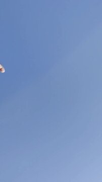 Hand dropping yellow pickleball against blue sky