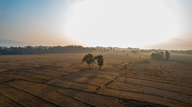 Aerial view of a dry, harvested agricultural field with scattered trees under a hazy sky in Bajawa, Nusa Tenggara Timur, Indonesia.