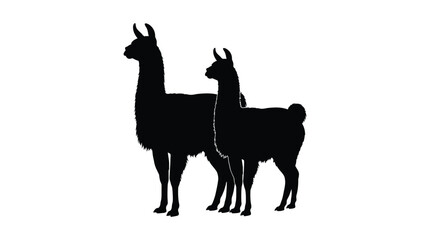 Naklejka premium Black silhouette of two llamas standing side by side on a white background