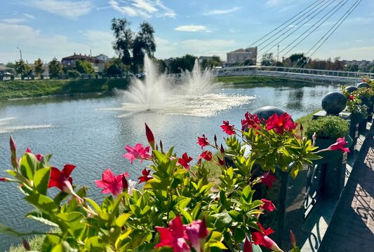 Flowers on the embankment near the fountains in the river