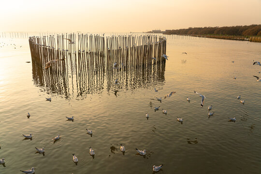 Heart shaped bamboo wavebreaker with seagulls in golden sea at sunset