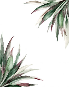 Two diagonally opposite corner clusters of dracaena foliage, long slender pointed leaves