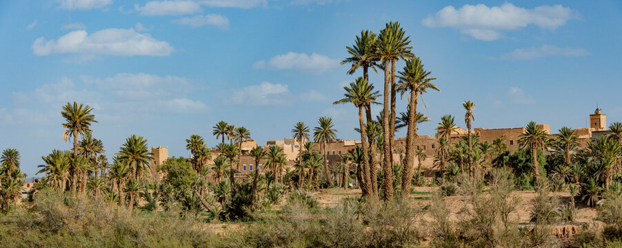 2026-maroc 1337