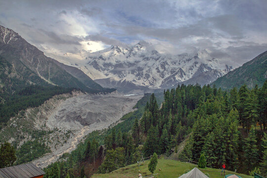 View of Nanga Parbat with its massive snow-capped peak rising above a glacier and dense pine forests in Pakistan.