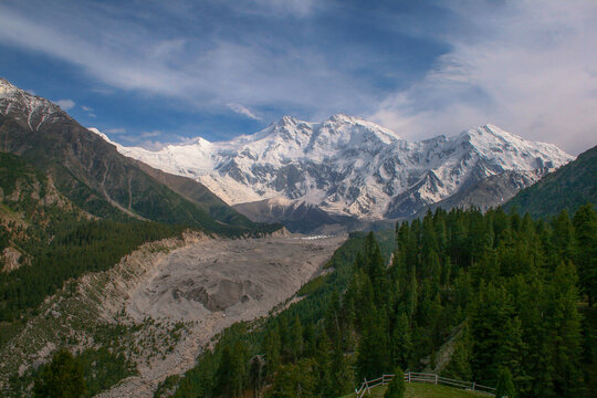 View of Nanga Parbat with its snow-capped peaks rising above a glacier and surrounding pine forests in Pakistan.