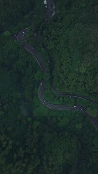 Top down aerial view of winding road surrounded by dense green forest in Cadas Pangeran, Sumedang, West Java, Indonesia