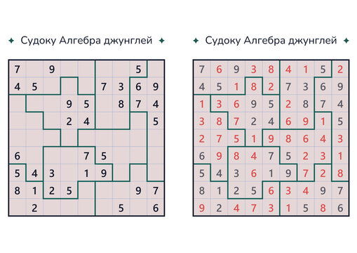 Sudoku puzzle with algebraic patterns and solutions displayed  