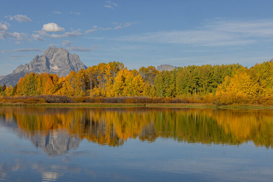 Scenic Autumn  Landscape Reflection at Oxbow Bend in Grand Teton National Park Wyoming