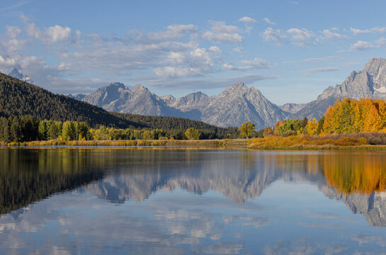 Scenic Autumn  Landscape Reflection at Oxbow Bend in Grand Teton National Park Wyoming