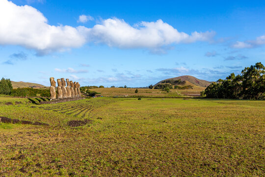 View of the seven Moai statues of Ahu Akivi standing in a grassy field with rolling hills in the background under a blue sky on Easter Island, Valparaiso, Chile.