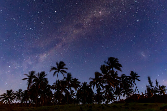 View of palm trees silhouetted against a vibrant starry night sky with the Milky Way galaxy visible above Anakena Beach, Easter Island, Valparaiso, Chile.