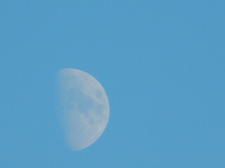 Lune gibbeuse visible en plein jour dans un ciel bleu © Manuela