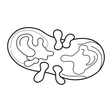 Black and white line art illustration of an amoeba or singlecelled organism with pseudopods