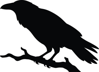 Fototapeta premium Raven on branch silhouette vector. Crow perching vector icon