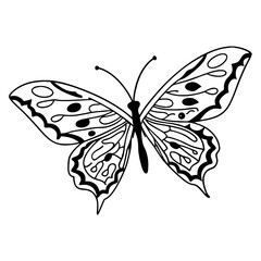 butterfly silhouette vector © onestop