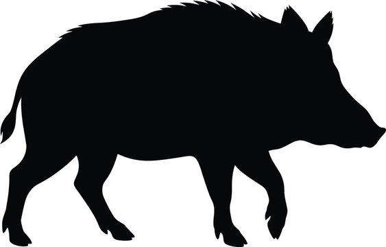 Wild boar silhouette vector. Wild hog vector icon