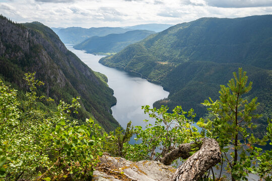 Scenic landscape view from a high lookout point over a long river fjord surrounded by steep green mountains and pine forests under a cloudy sky.