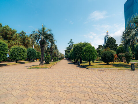 View of the Batumi Boulevard park with palm trees, manicured green trees, and a geometric patterned paved walkway under a clear blue sky in Batumi, Adjara, Georgia.