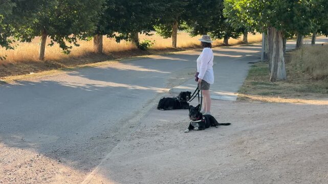Middle aged woman standing with her two black dogs on leashes by a tree lined path. The canines are resting on the ground during a sunny day