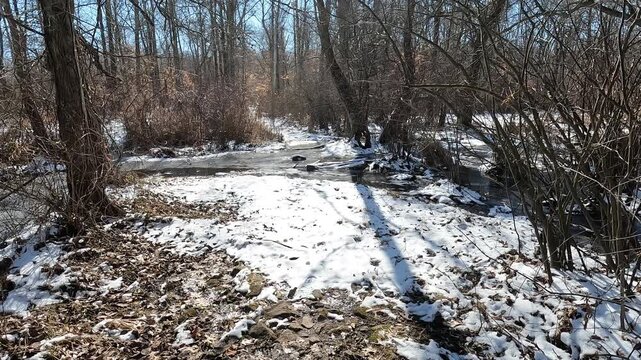 icy creek in in the Great Swamp on a snowy cold sunny February day