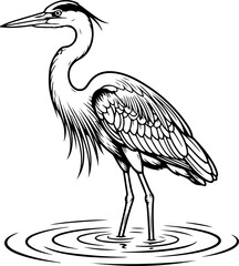 Fototapeta premium Great blue heron standing in water Vector illustration