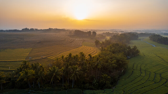 Aerial view of terraced rice fields at sunrise with lush palm trees and misty hills in the golden morning light in Bajawa, Nusa Tenggara Timur, Indonesia.