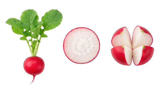 Set of 3 isolated fresh red radish whole and round slices elements, fresh vegetable