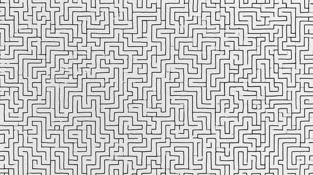 Black and white maze-like pattern. the maze is made up of multiple interlocking lines that form a complex and intricate design.