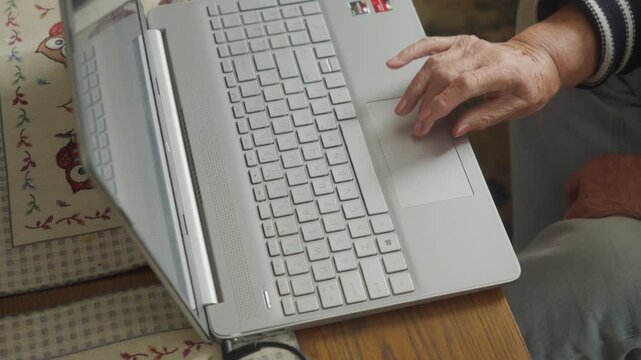 Elderly woman confidently using a laptop at home for online modern lifestyle demonstrating everyday digital competence and technology skills.