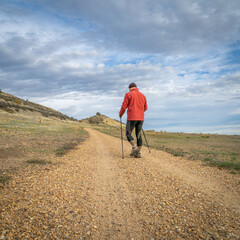 Fototapeta premium senior man is Nordic walking in foothills of Rocky Mountains in Colorado - Prairie Ridge Natural Area