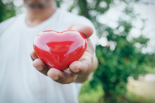 Person hand holding red heart, green nature background, charity, donation, and Valentine's Day, World health day, Health care and mental health concept, Health insurance, Charity volunteer donation