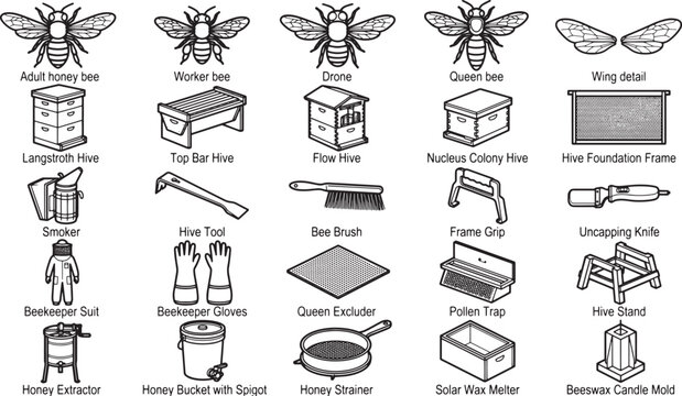 A collection of beekeeping tools and bee types in a clear, illustrative diagram, detailing equipment and different kinds of bees for educational purposes.
