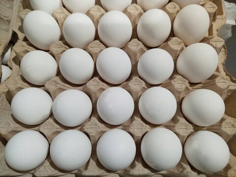 Fresh white chicken eggs arranged in a cardboard egg carton, top view. Natural farm food and healthy protein source.